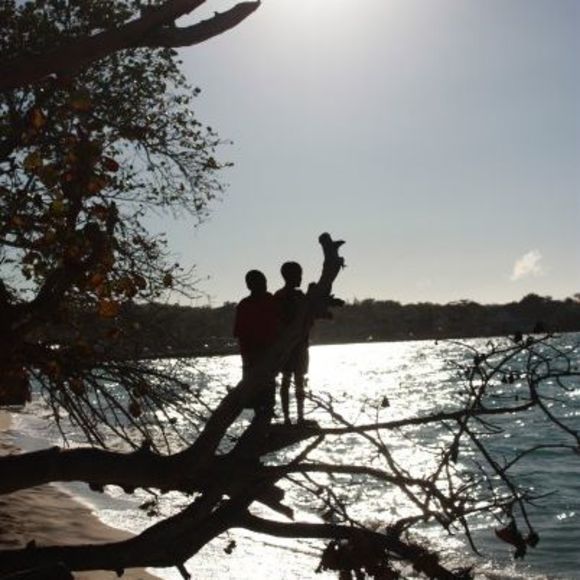 Meet your Posher, Trudy - Picture 1 of 1